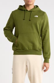 The North Face Evolution Simple Dome Regular Hoodie