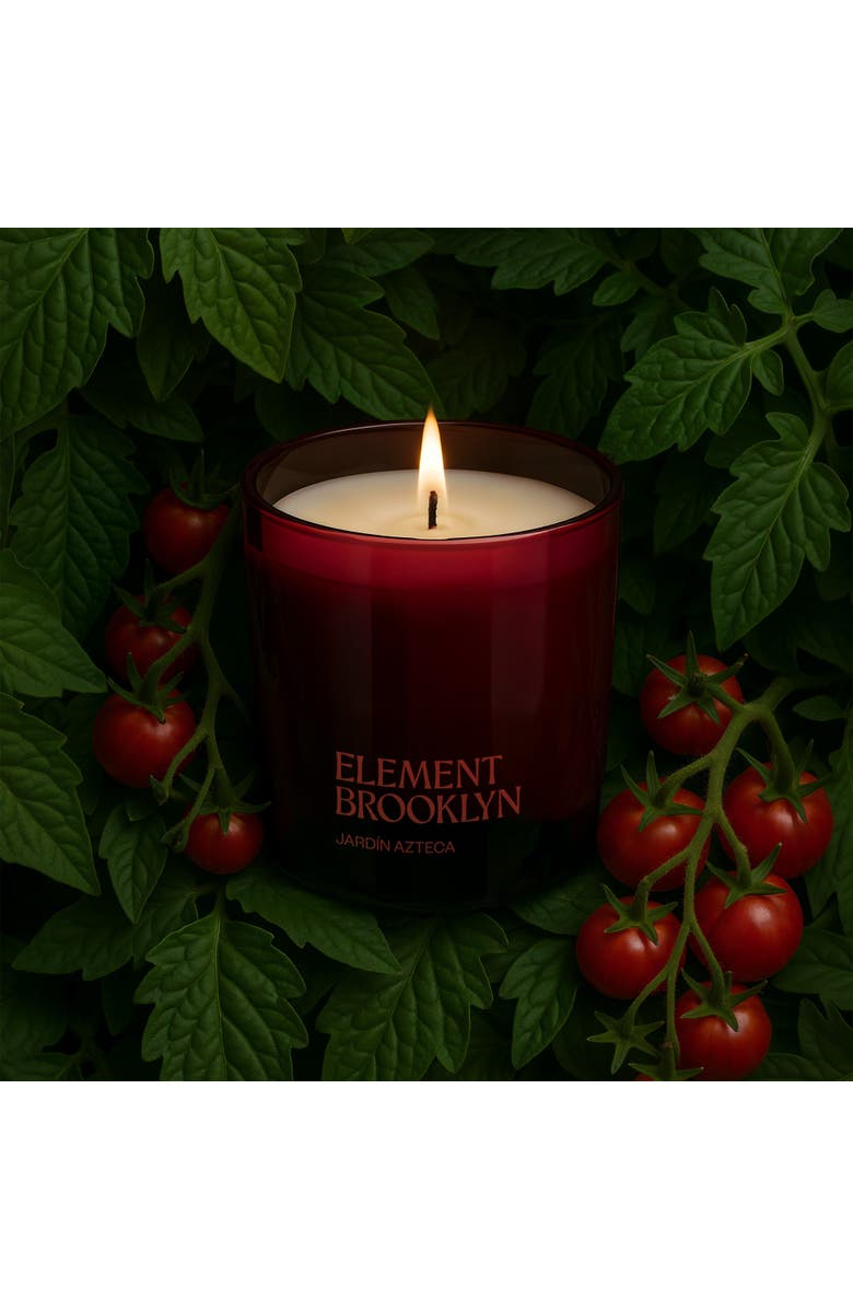 Element Brooklyn Jardin Azteca Candle, Alternate, color, Jardin Azteca