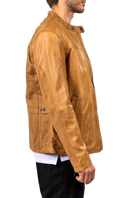 Maceoo Washed Brown Lambskin Leather Jacket In Multi