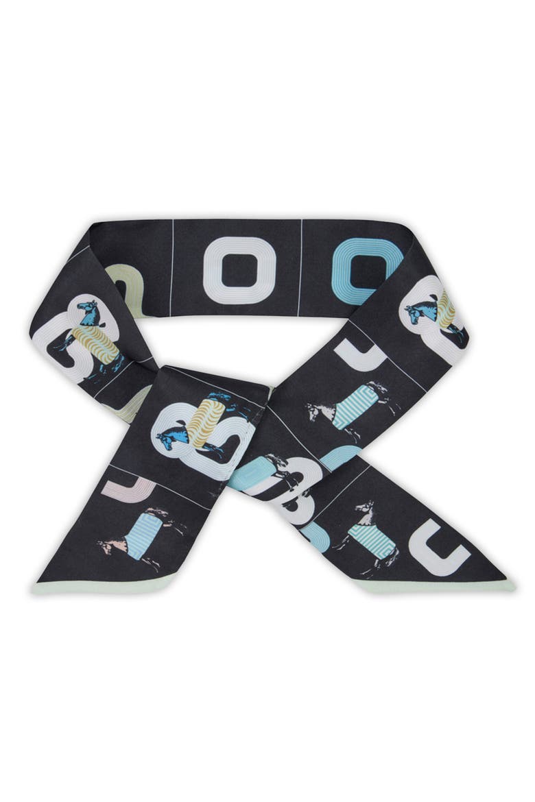 Horse Skinny Scarf, Main, color, BLACK