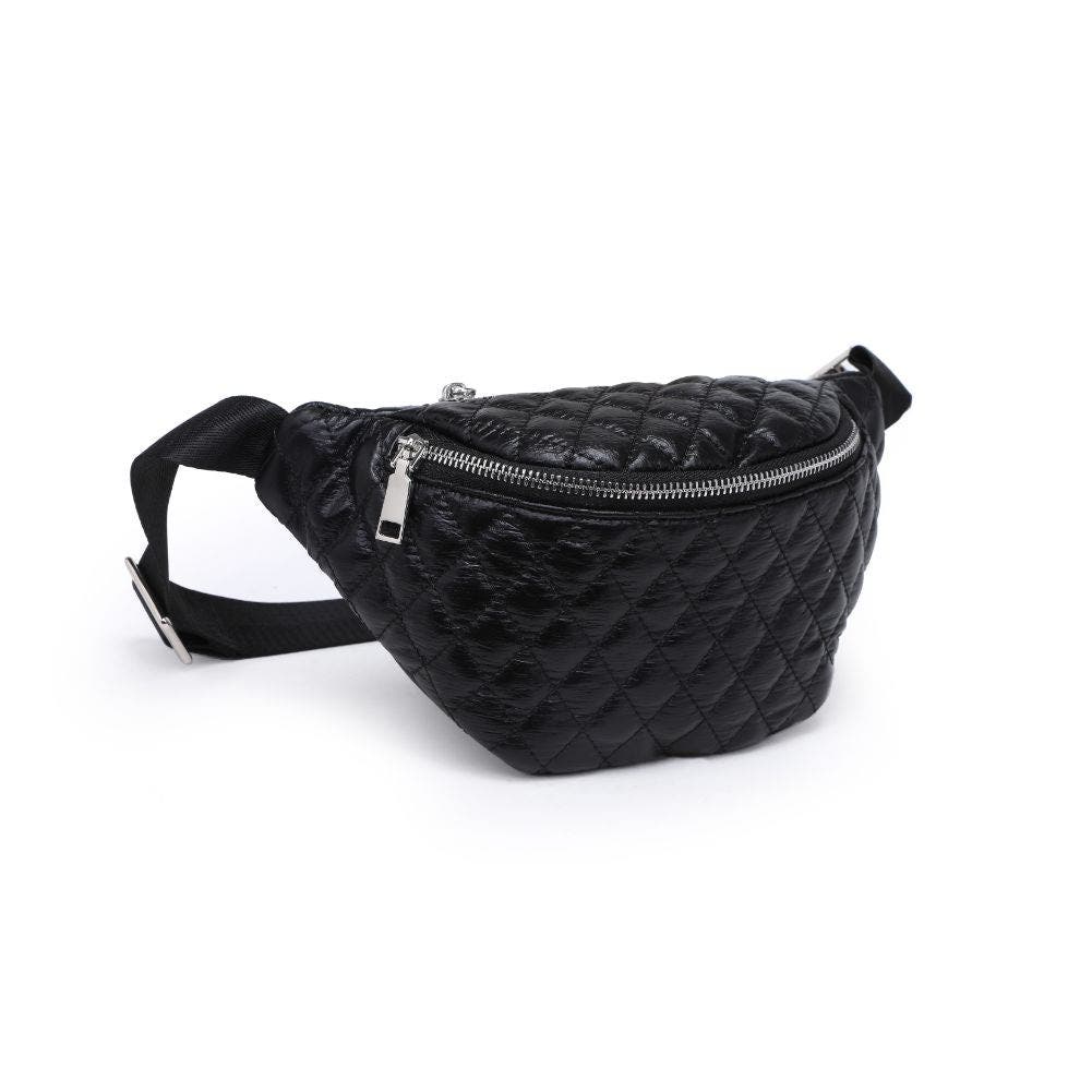 Ariana Belt Bag, Alternate, color, Black
