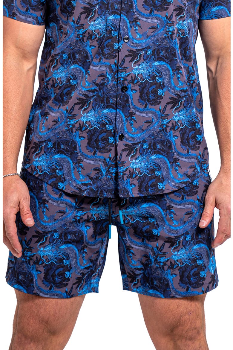 Liondragon Blue Swim Trunks, Main, color, BLUE