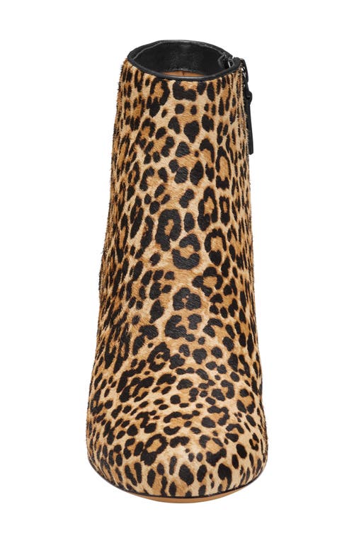 Johnston & Murphy Sienna Belted Bootie In Animal Print