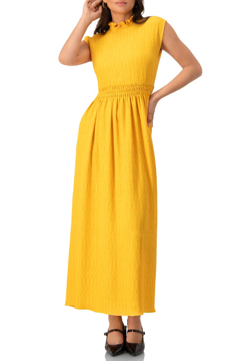Sleeveless High Neck Long Dress, Main, color, Yellow