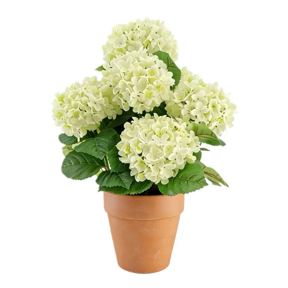 selected White