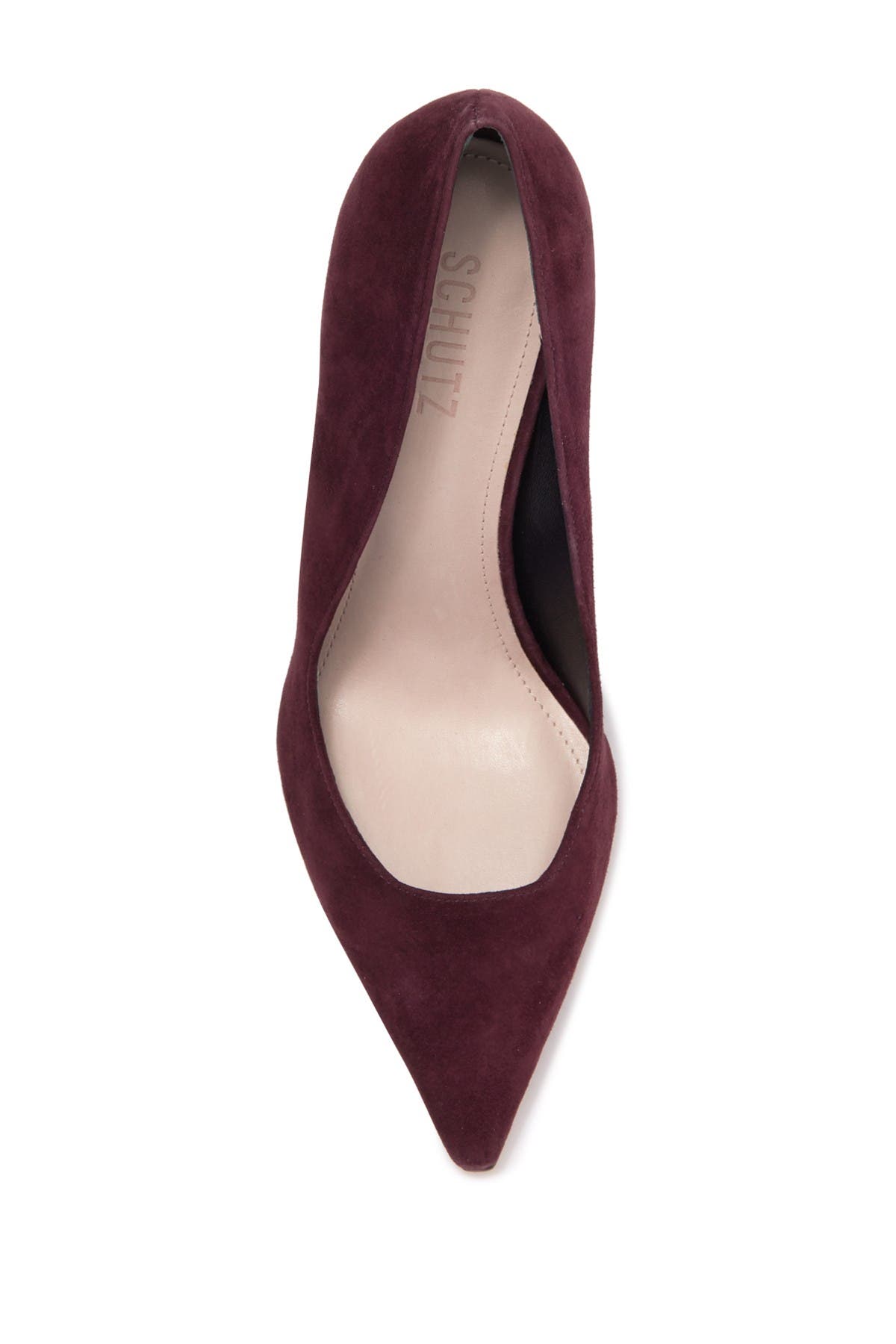 Schutz Guinewer Suede Stiletto Pump, Alternate, color, 