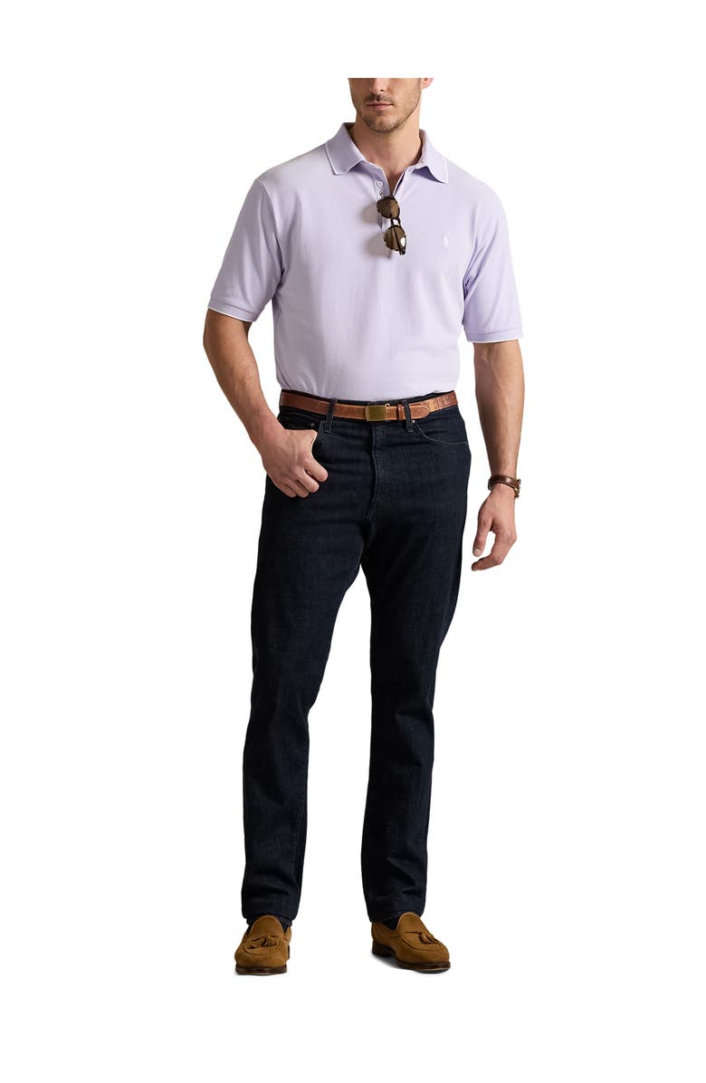 Polo Ralph Lauren Big & Tall Stretch Oxford Mesh Polo Shirt, Alternate, color, Sky Lavender Nd Wht