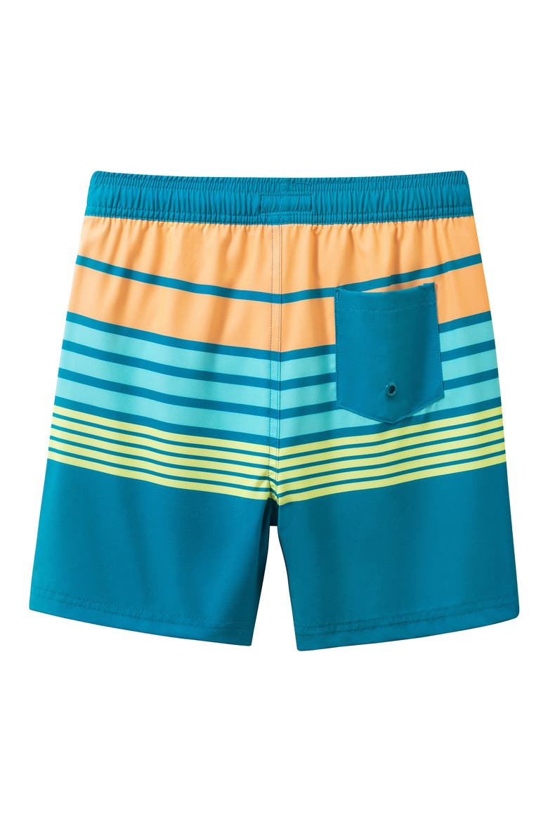 Kids' Floral Print Volley Swim Shorts, Alternate, color, OCEAN STRIPE