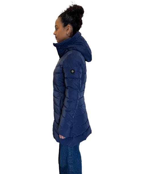 Woodpecker Long Robin Medium Weight Coat In Blue