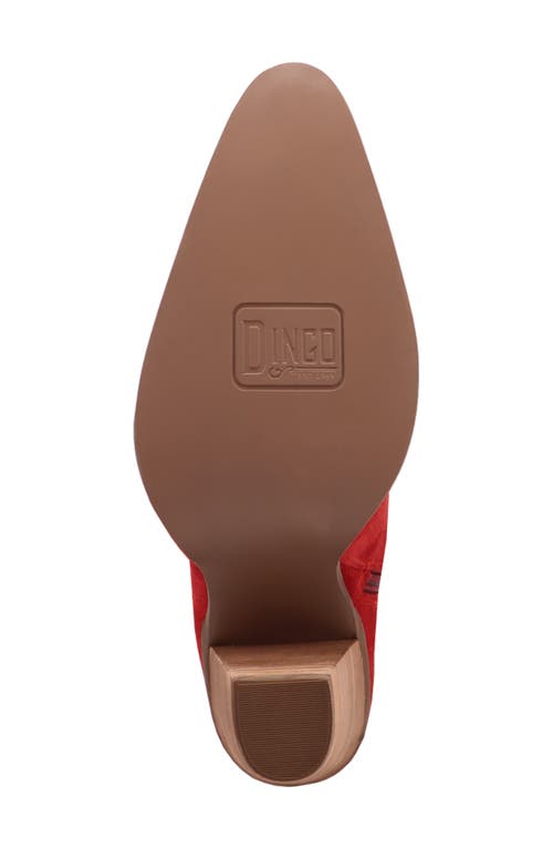 Dingo Primadonna Pointed Toe Over The Knee Western Boot In Red
