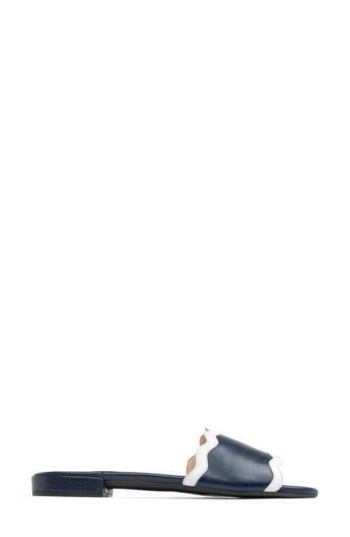 Shop Patricia Green Emma Raffia Slide Sandal In Navy/white Leather