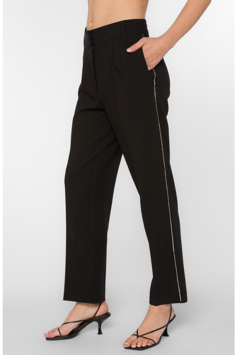 Fiji Embellished Straight Leg Pants, Alternate, color, BLACK