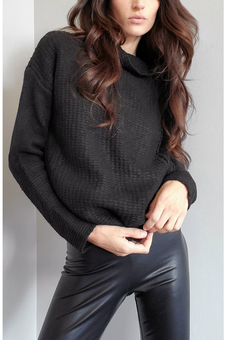 Renata Funnel Neck Sweater, Alternate, color, BLACK