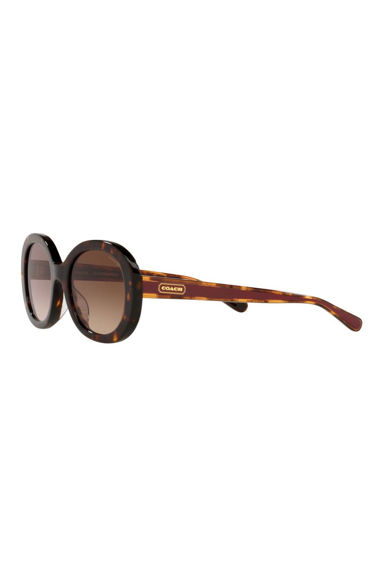 52mm Gradient Oval Sunglasses, Alternate, color, DK TORT