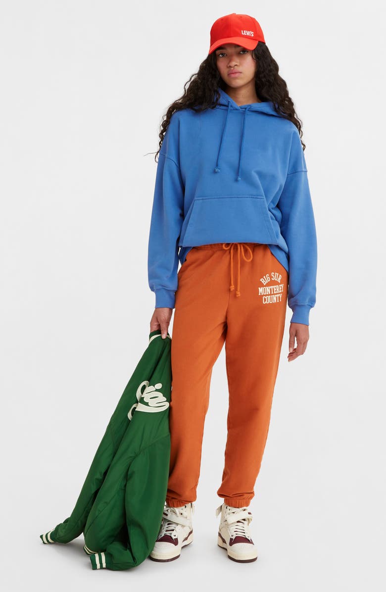 Levi's<sup>®</sup> Cotton Sweatpants, Alternate, color, 