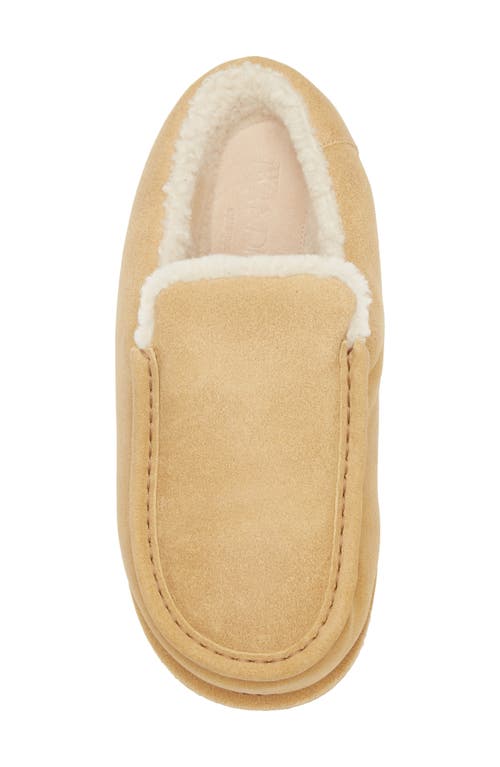 Jw Anderson Genuine Shearling Mule In Calf Mustaza Beige