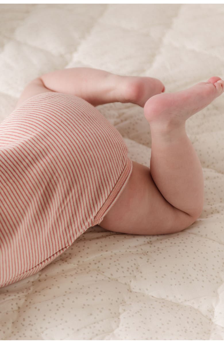 Pehr Sailor Stripe Raglan Sleeve Organic Cotton Bodysuit, Alternate, color, Tea Rose