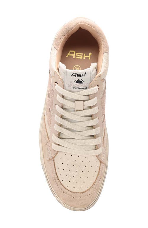 Ash Ivory White Calf Leather Moonlight Stud Sneakers In Cuoio/talc/silver