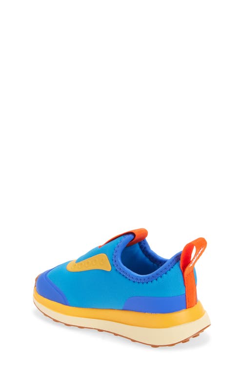 Native Shoes Robbie Dash Slip-on Sneaker In Blue