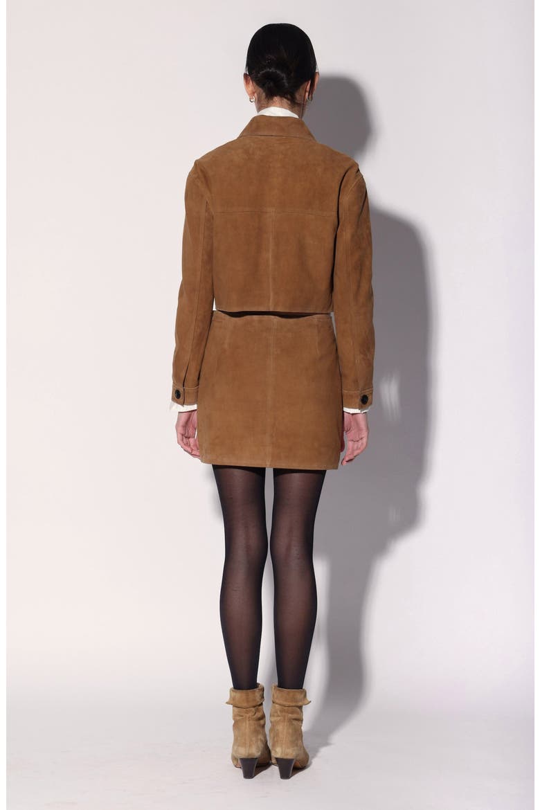 Suzette Suede Leather Jacket, Alternate, color, Brown