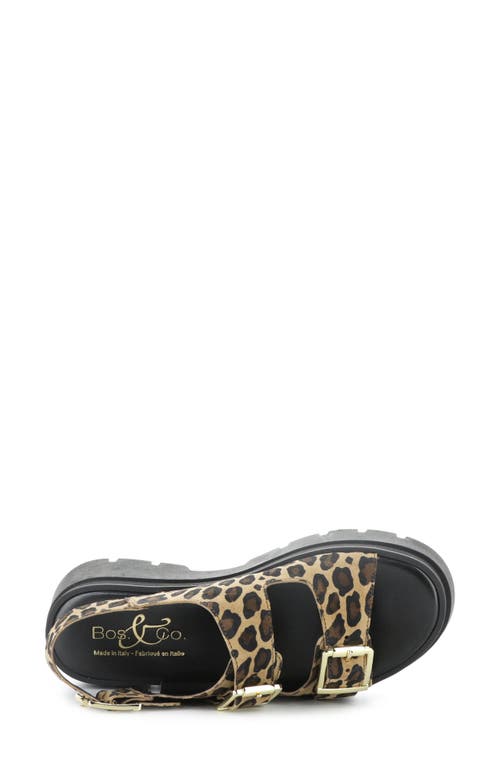 Bos. & Co. Cipher Slingback Platform Sandal In Leopard