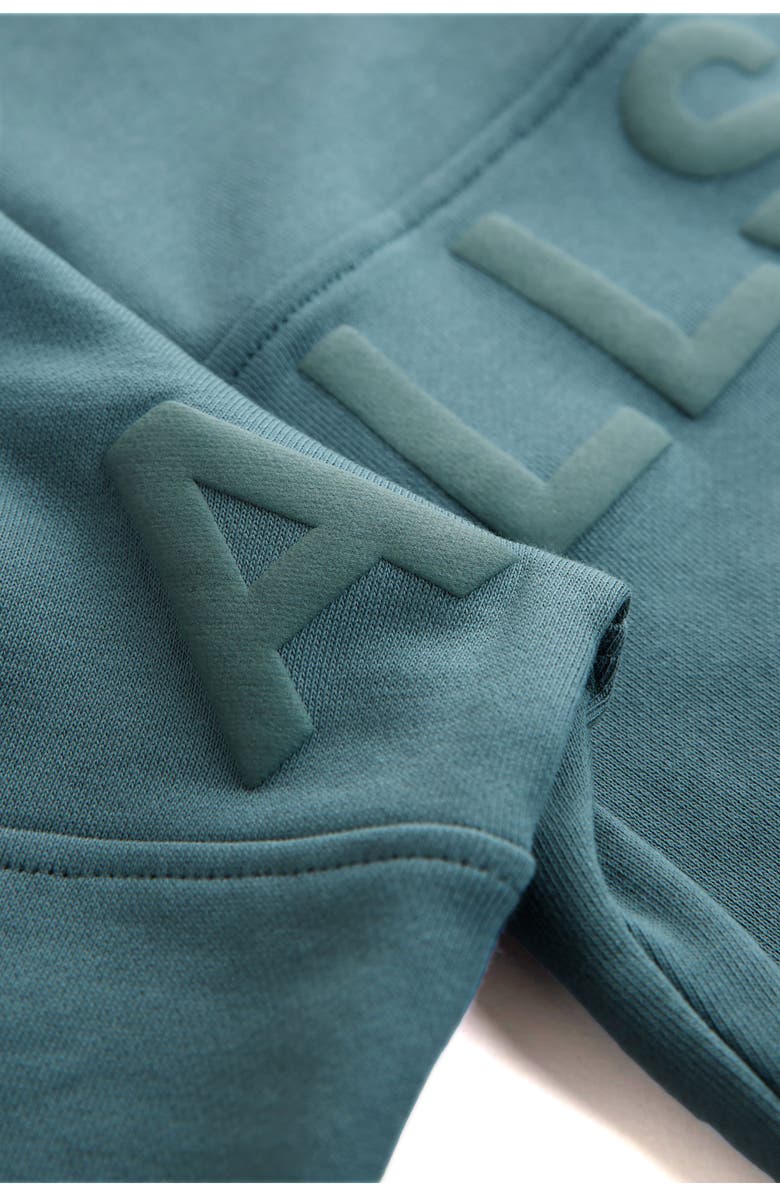 smALLSAINTS by ALLSAINTS Kids' Biggy Quarter Zip Sweatshirt, Alternate, color, Dusky Blue