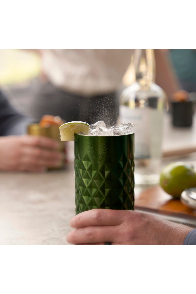 Paragon Stainless Steel Highball Tumbler, Alternate, color, Satin Green