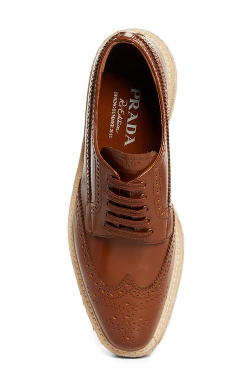 Prada Spazzolato Re-edition Platform Wingtip Loafers In Tabacco