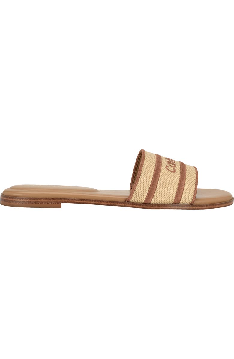 Calvin Klein Kendell Slide Sandal, Alternate, color, Natural/ Cognac