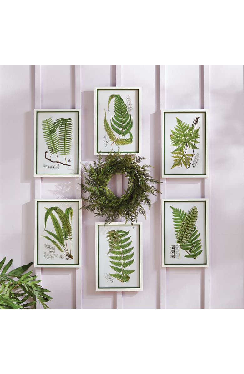 Napa Home & Garden Layered Fern Prints Set of 6, Alternate, color, Green