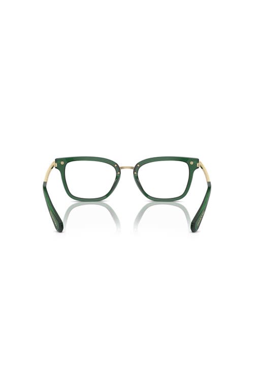 Swarovski 52mm Square Optical Glasses In Brown
