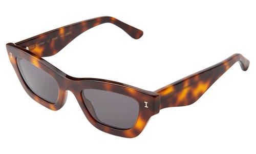 ILLESTEVA ILLESTEVA DONNA SUNGLASSES