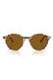  Havana Grey E Brown / Brown