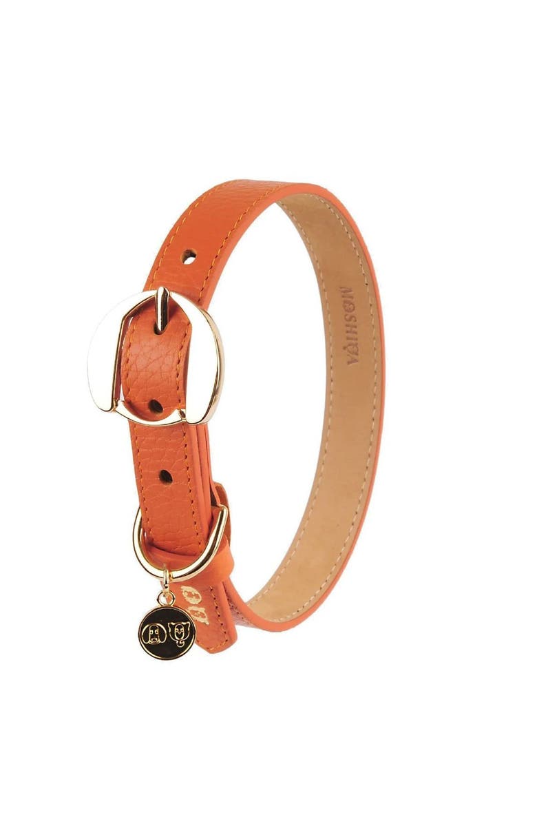Moshiqa Hachiko Dog Collar, Main, color, Orange