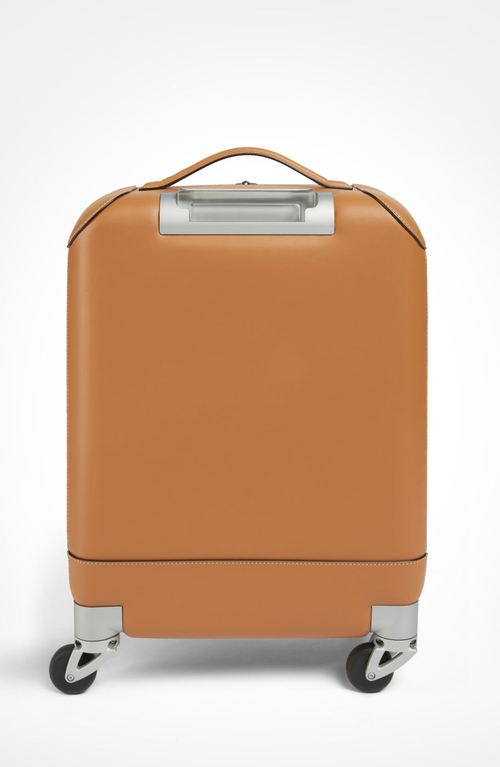 Aviteur Calfskin Lucite Handle Carry-on 19 Luggage In Brown
