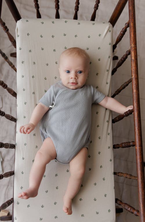 Ely's & Co. Organic Cotton Amore Pointelle Collection In Gray