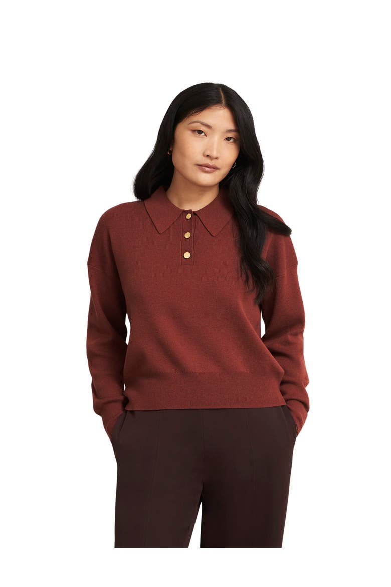 Connie Polo Sweater, Main, color, Cinnamon Brown