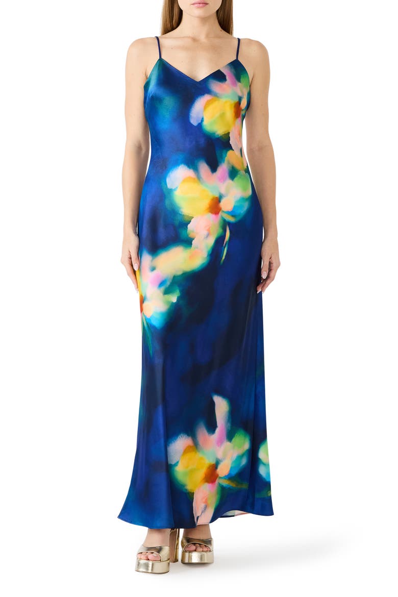 Atara Print Maxi Dress, Main, color, ROSEWATER