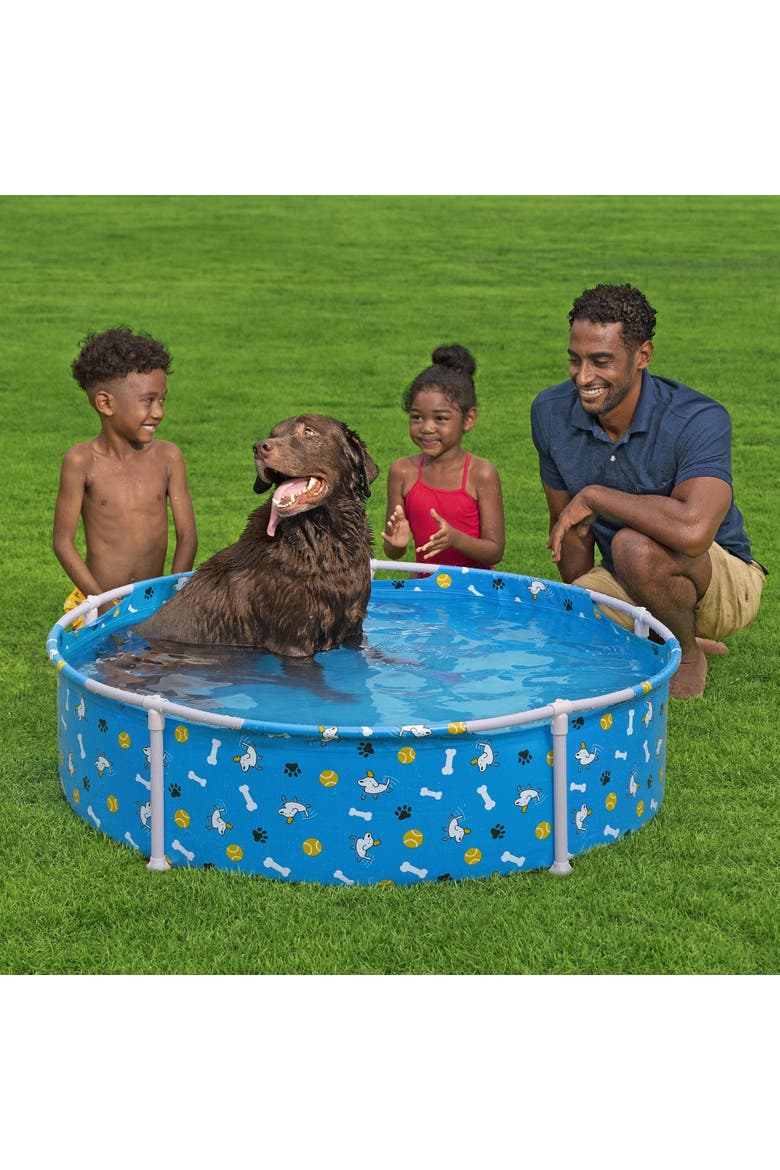 Fetchin' Fun Pet Play Pool, Alternate, color, Multicolored