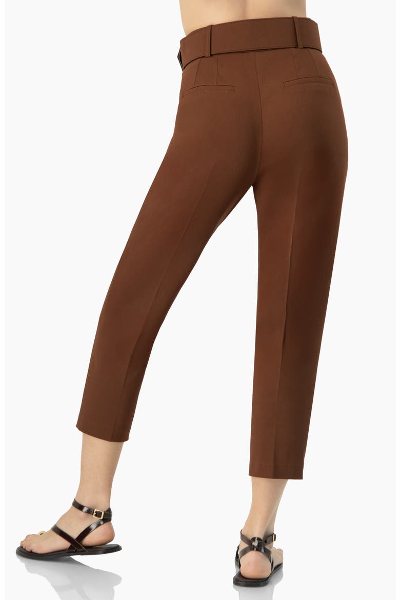Straight-Leg Gabardine Pants with Belt, Alternate, color, Brown