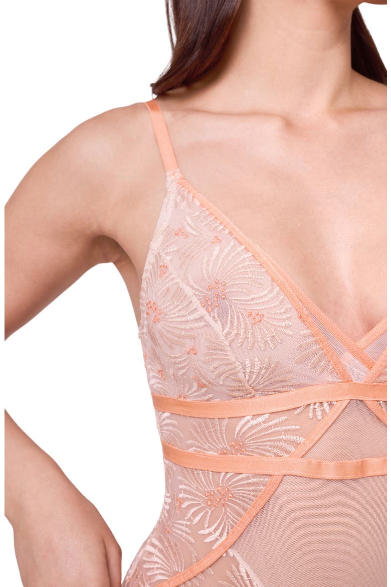 Tangerine Dream Embroidered Sheer Mesh Teddy, Alternate, color, CHAMPAGNE/ TANGERINE