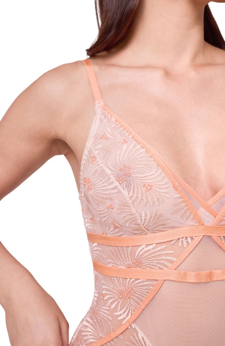 Montelle Intimates Tangerine Dream Embroidered Sheer Mesh Teddy, Alternate, color, Champagne/ Tangerine