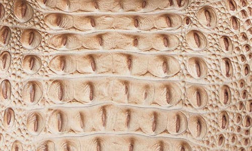 Brahmin Small Kathleen Croc Embossed Leather Shoulder Bag In Neutral