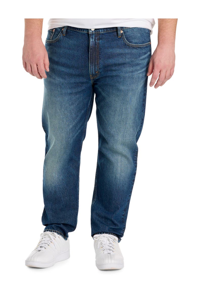 Big & Tall  502 Tapered-Fit Jeans, Main, color, BLUE EXPANSE