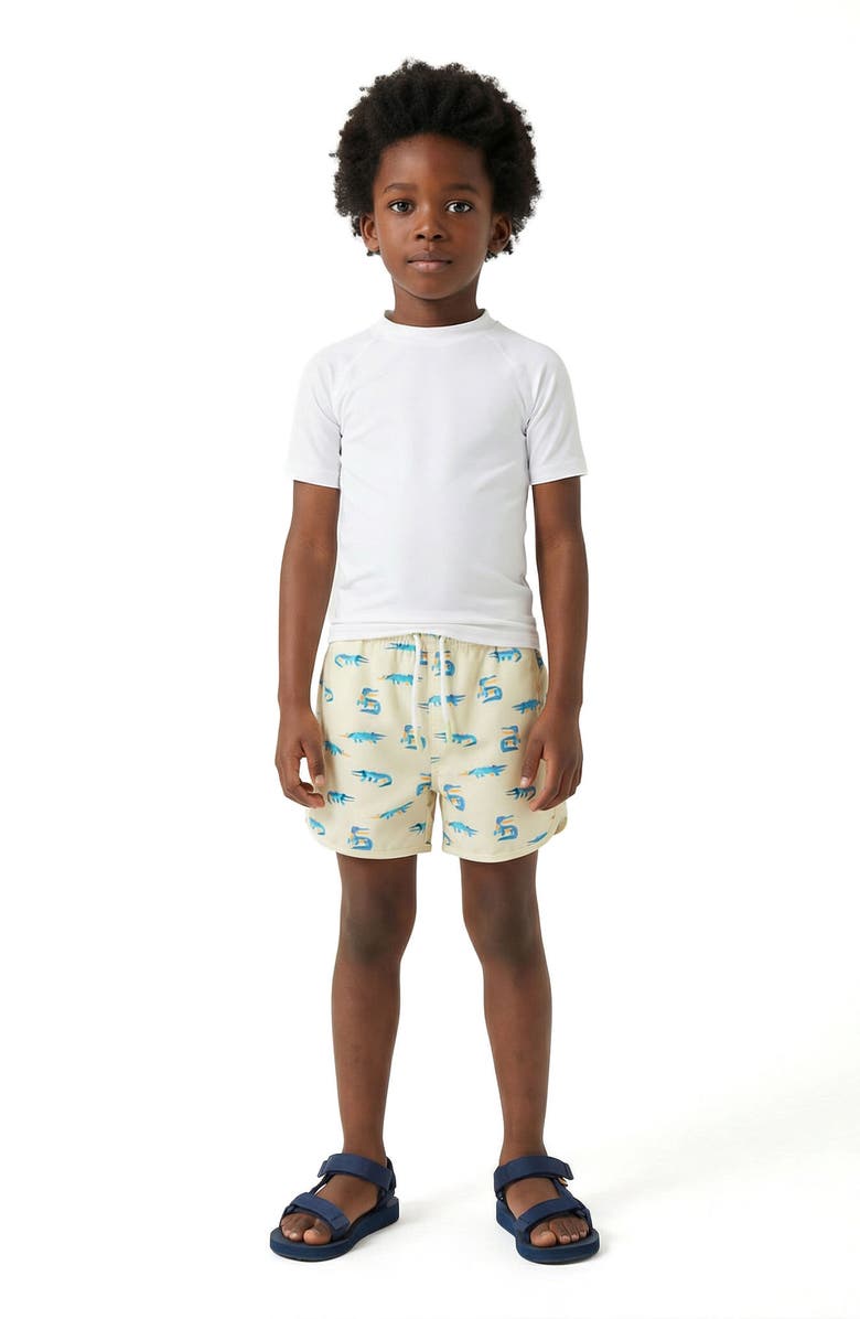 Andy & Evan Kids' Volley Swim Trunks, Alternate, color, Lime Gator