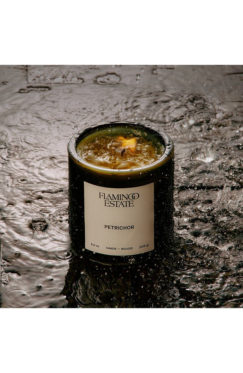 FLAMINGO ESTATE Petrichor Candle, Alternate, color, Green