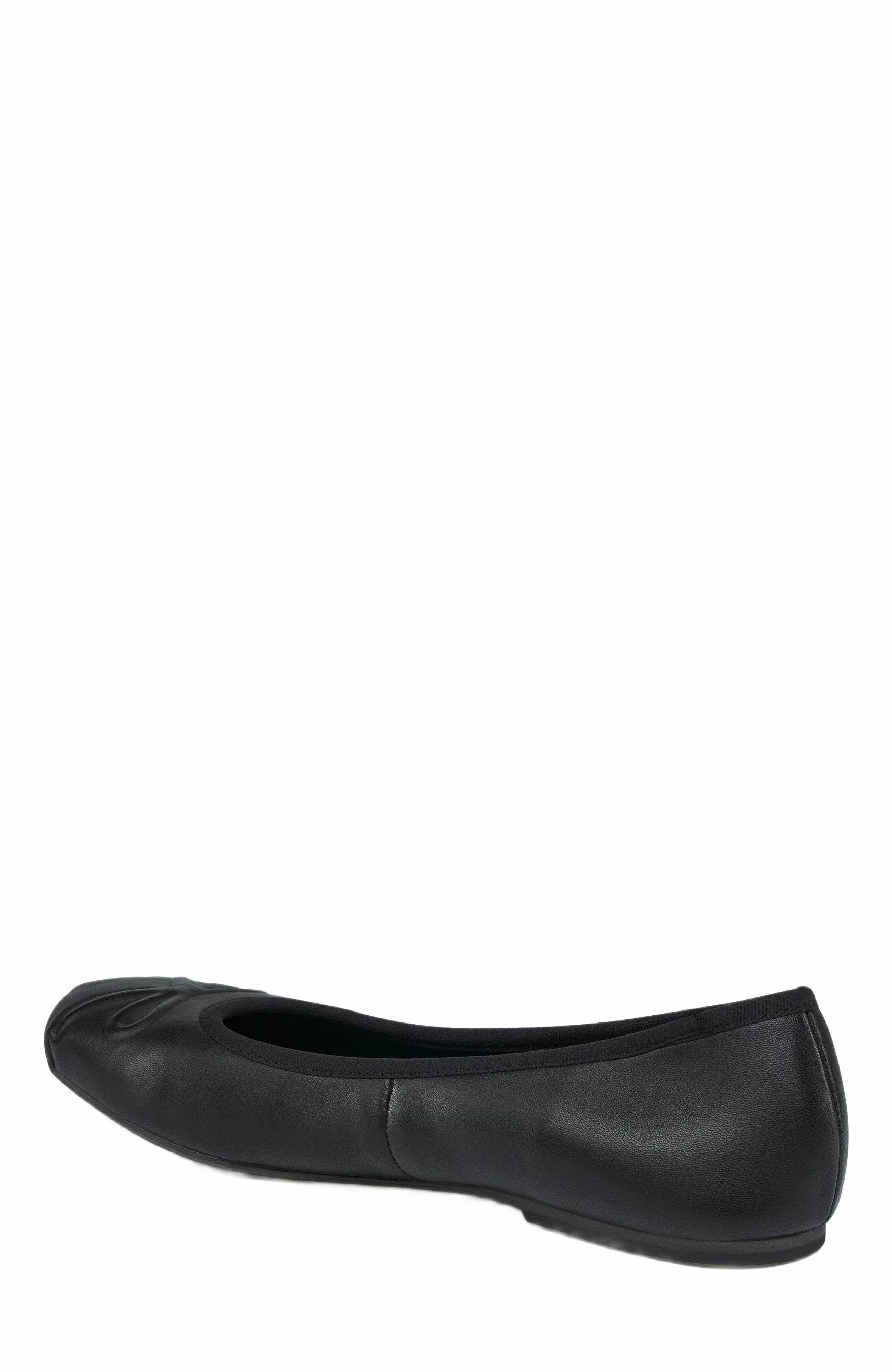 Grace Footwear Reggio Ballerina, Alternate, color, Black
