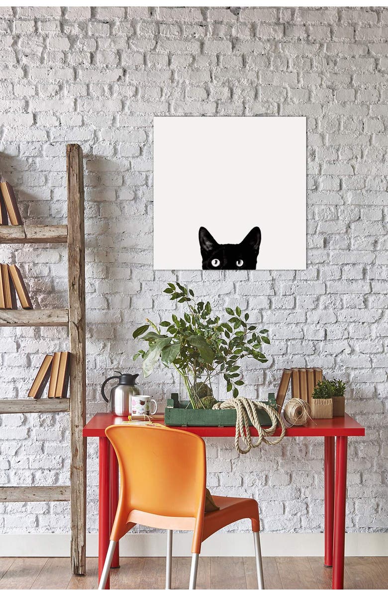 iCanvas Curiosity by Jon Bertelli Wall Art - 18" x 18", Main, color, Multi 3