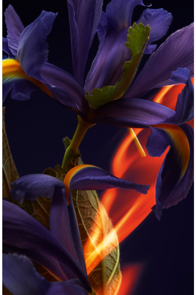 Iris Fétiche Eau de Parfum, Alternate, color, NO COLOR