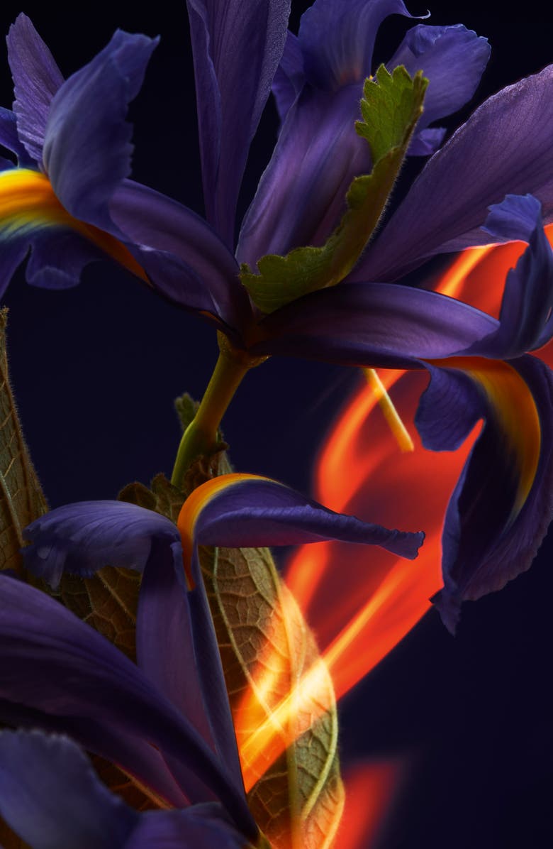 Christian Louboutin Fétiche L'Iris Eau de Parfum, Alternate, color, 